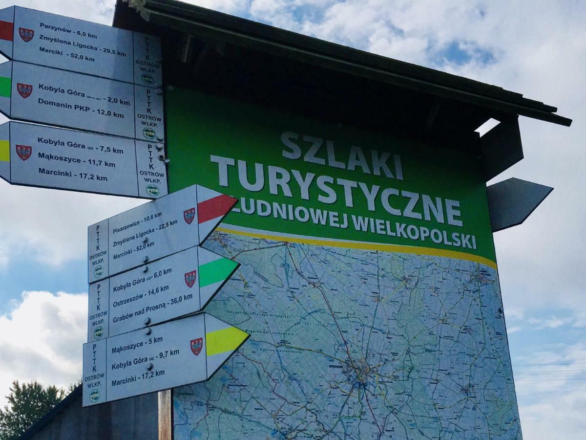 Kobyla Góra Ignacowka旅馆 外观 照片
